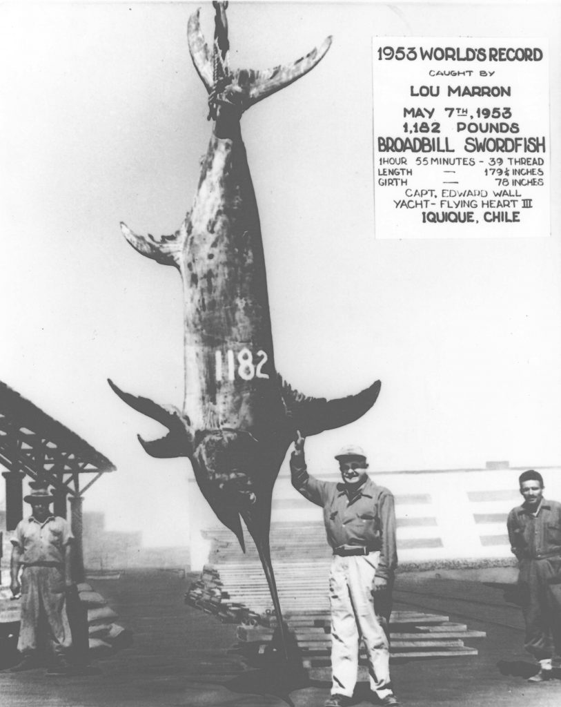 1,182 lb. Swordfish 