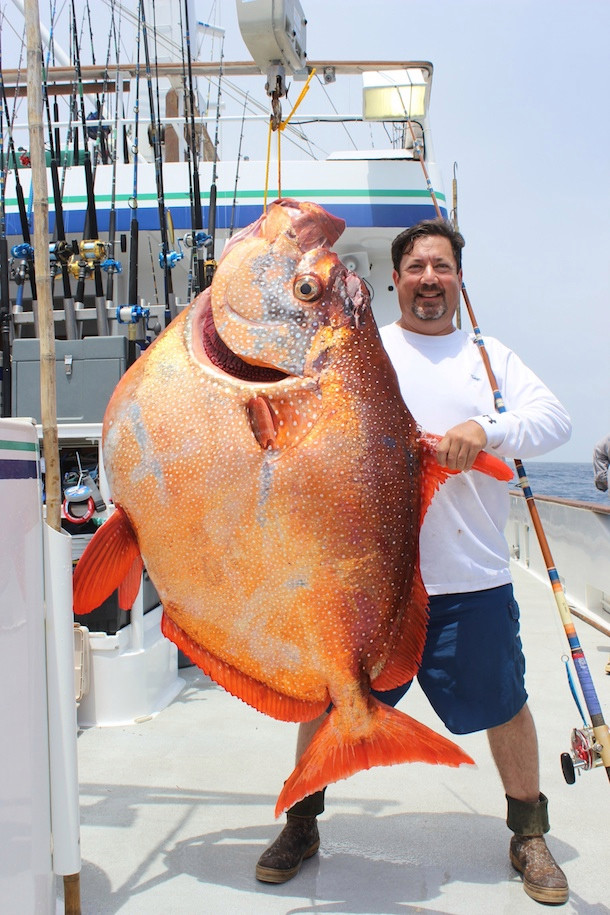 biggest fish ever caught