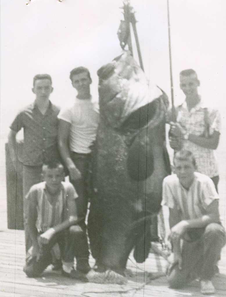 680 lb. Goliath Grouper